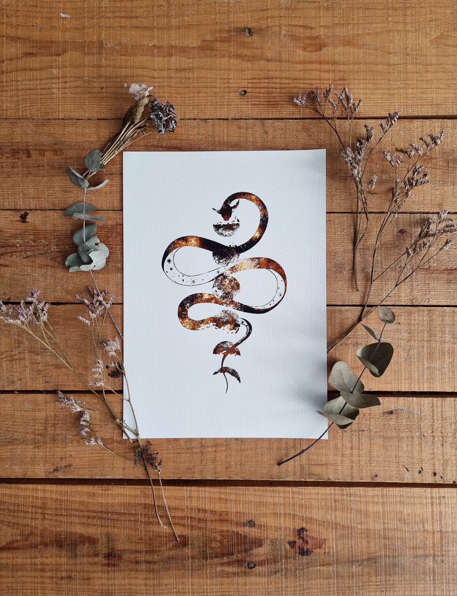 Illustrations Mantra