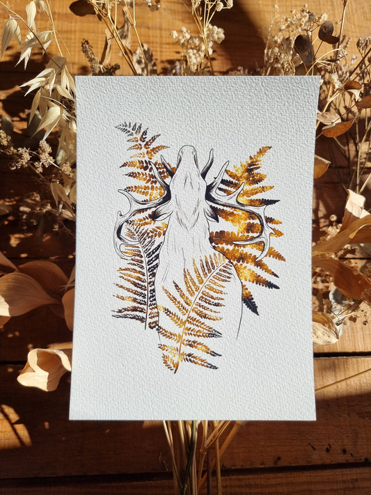 Bois de Cerf