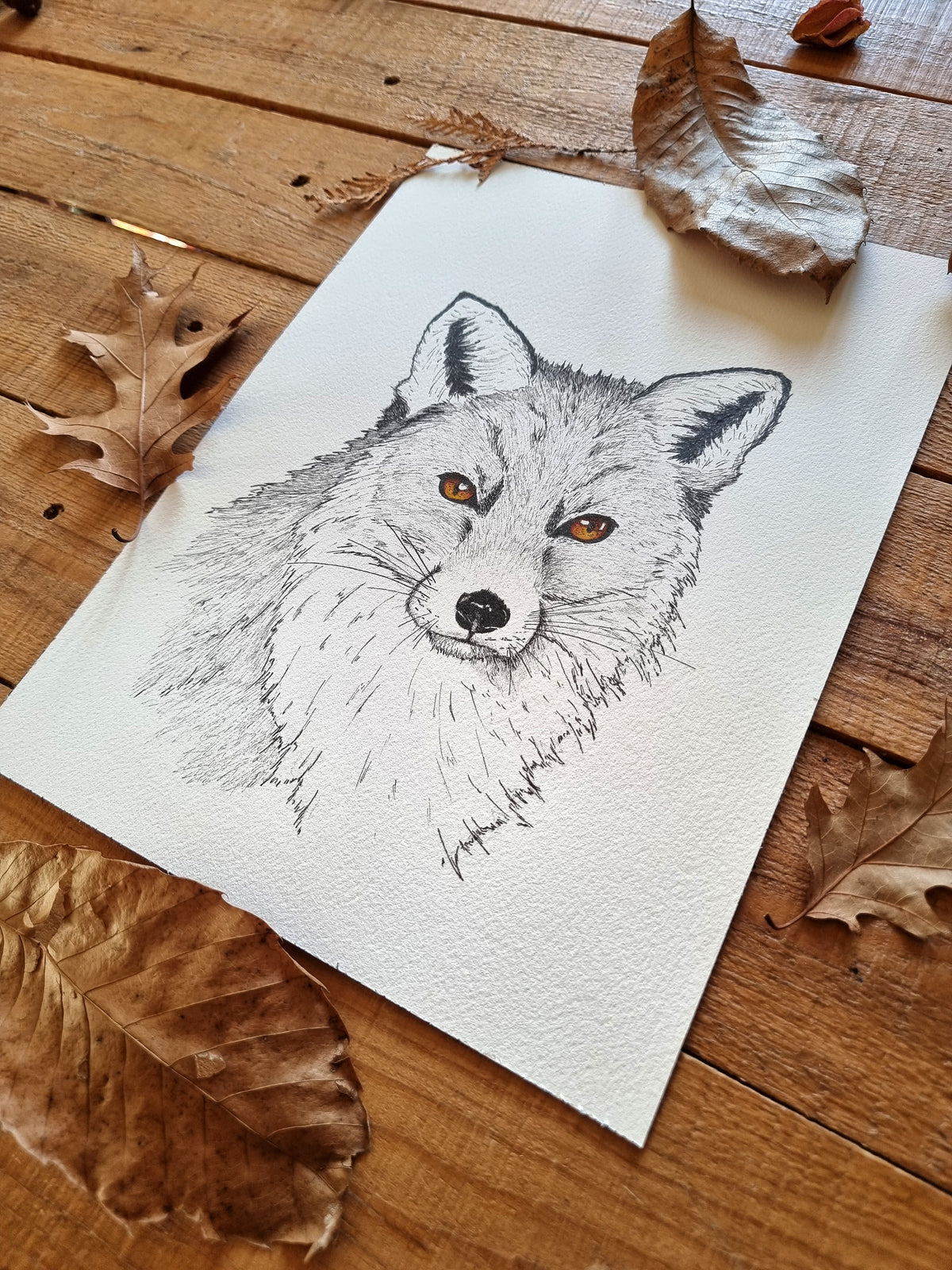 Les Yeux du Renard