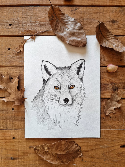 Les Yeux du Renard